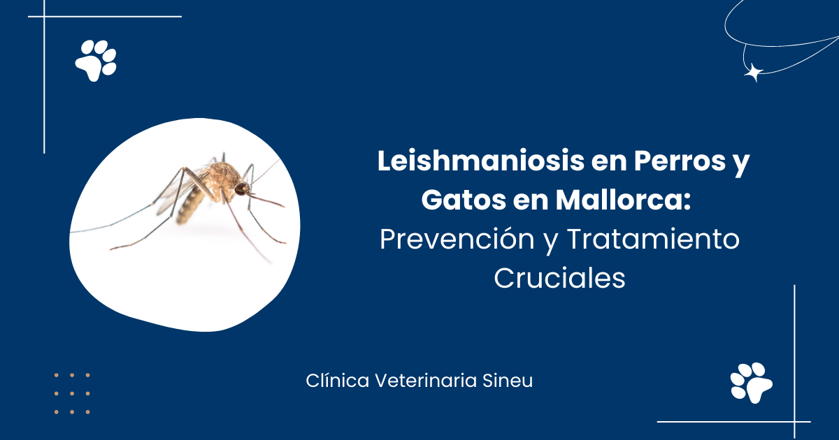 leishmaniosis-perros-gatos-prevencios-tratamiento