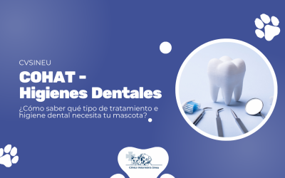 Odontología e higiene dental para perros y gatos en Mallorca